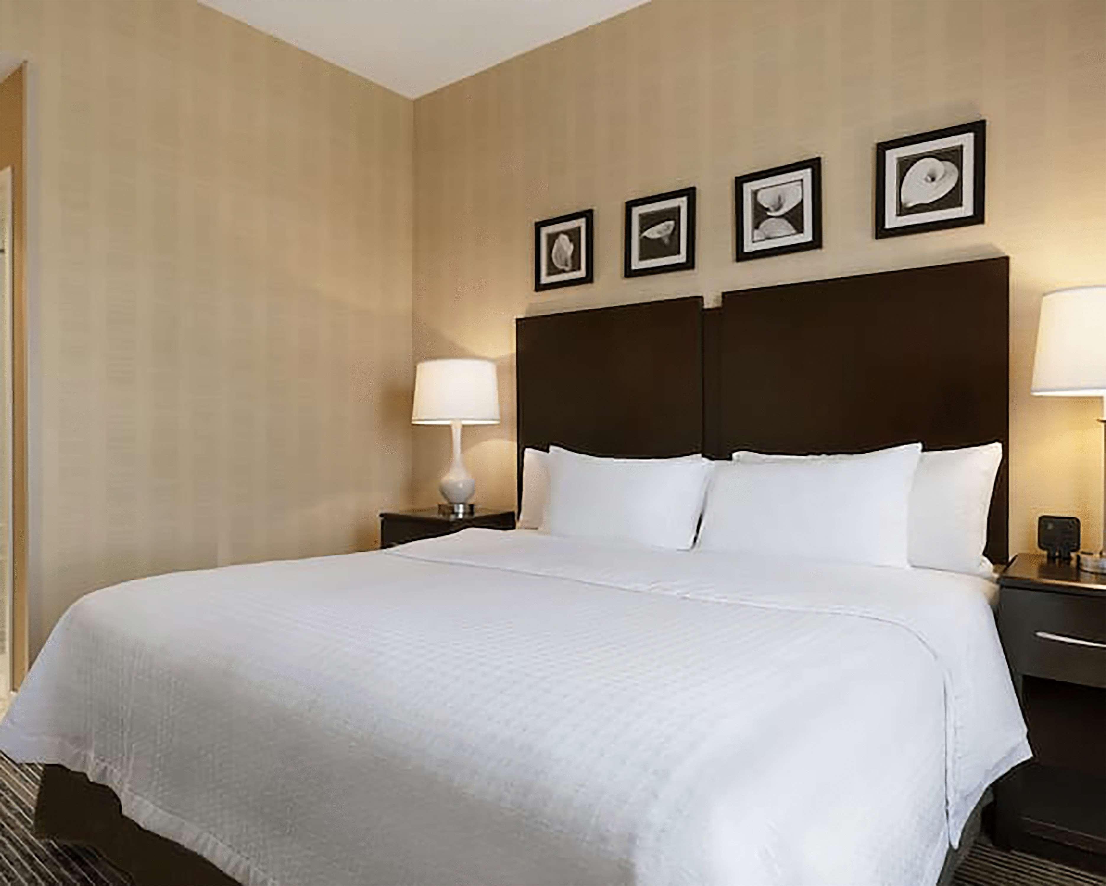 Homewood Suites By Hilton Newtown - Langhorne, Pa Exterior foto